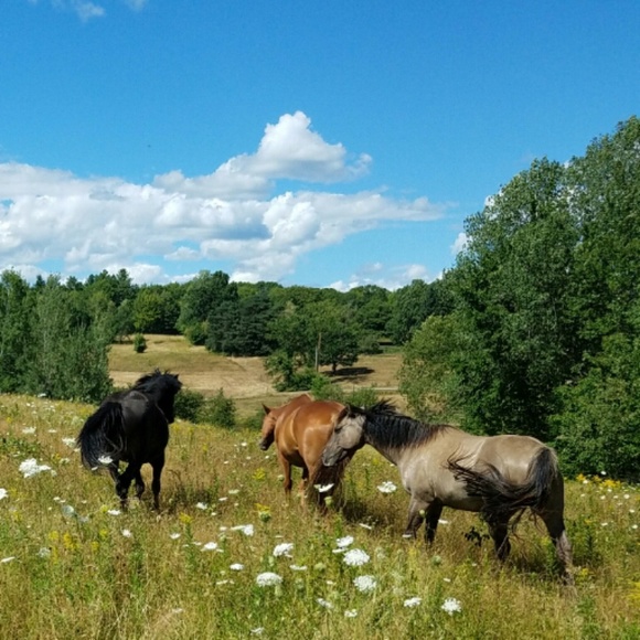 I'm shopping - Picture 7 of 7